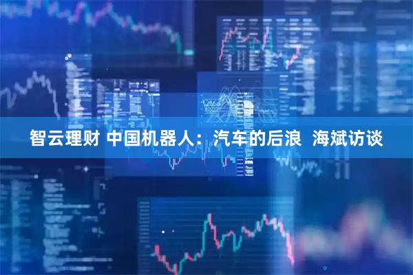 智云理财 中国机器人：汽车的后浪  海斌访谈