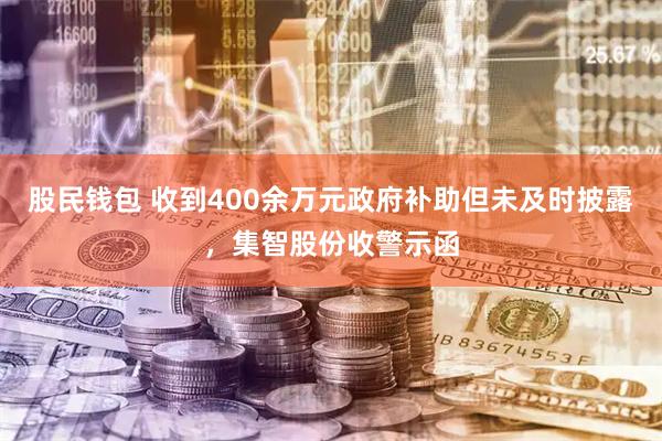 股民钱包 收到400余万元政府补助但未及时披露，集智股份收警示函